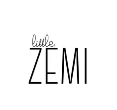 Little ZEMI 